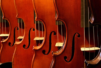 小提琴音孔样式
